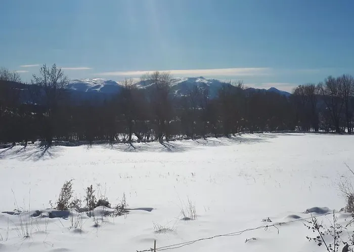 Gite Chalet Proche Font-Romeu Jardin Sauna 10 Pers Prázdninový dům Targassonne
